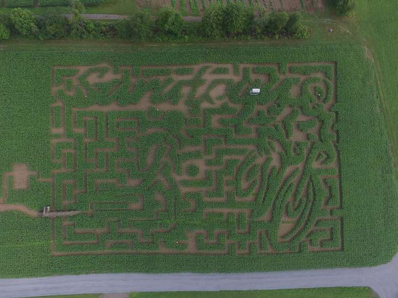 aerial view of a corn maze