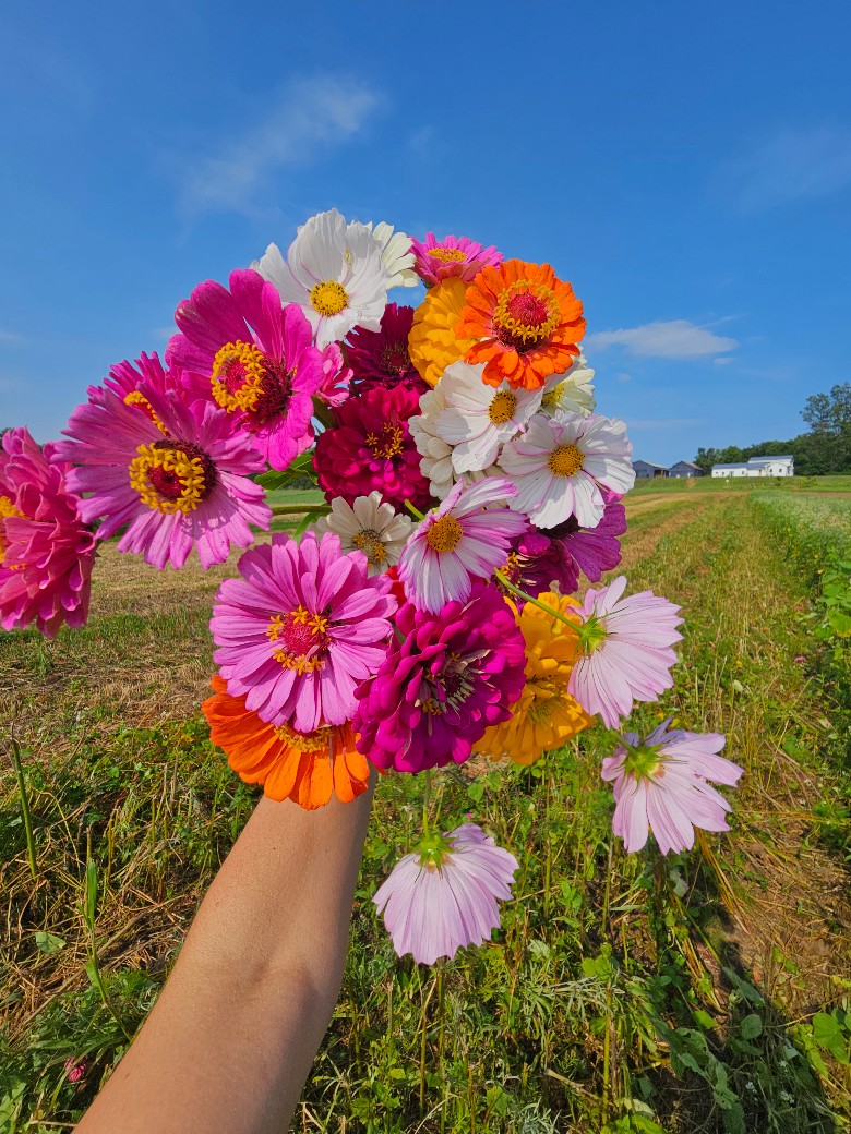 Pick your own flowers