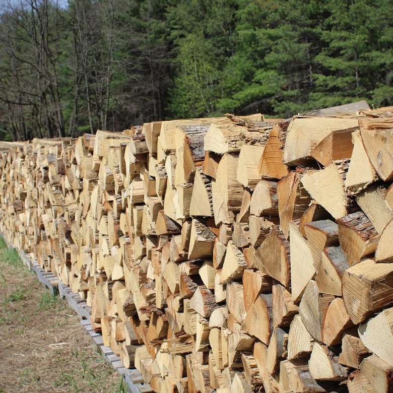 stacked firewood