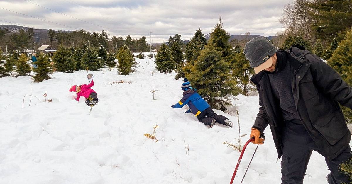 family at river bend christmastree farm in lake luzerne