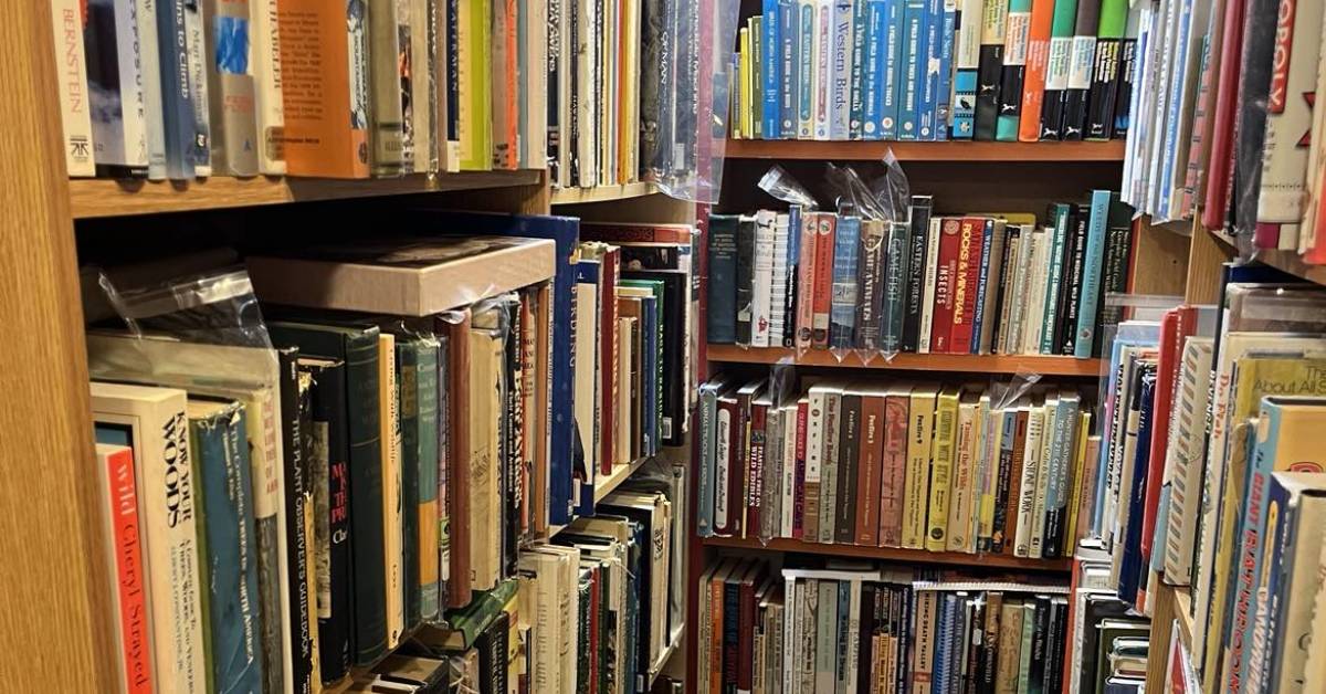 interior of maple tree books