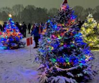 outdoor christmas trees in glens falls