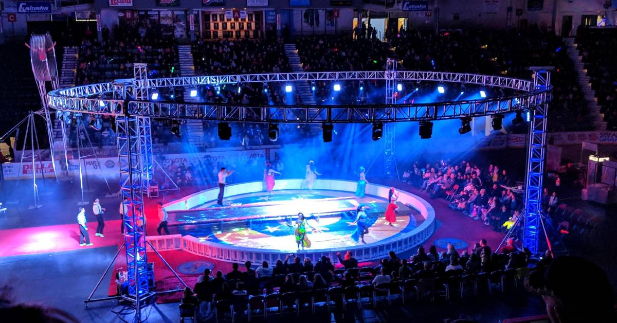 performers in circus