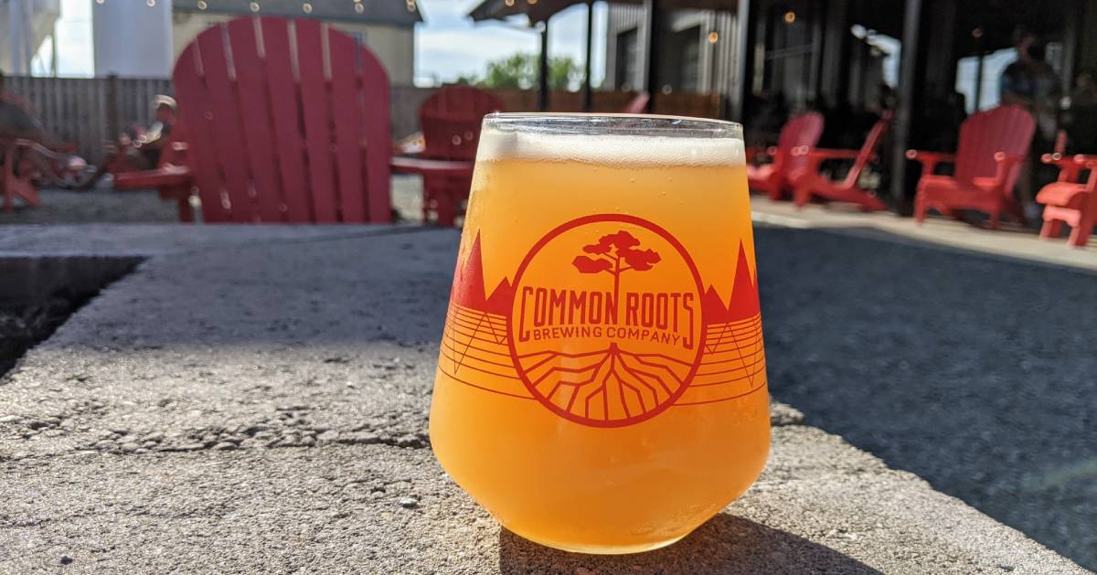 Common Roots beer glass