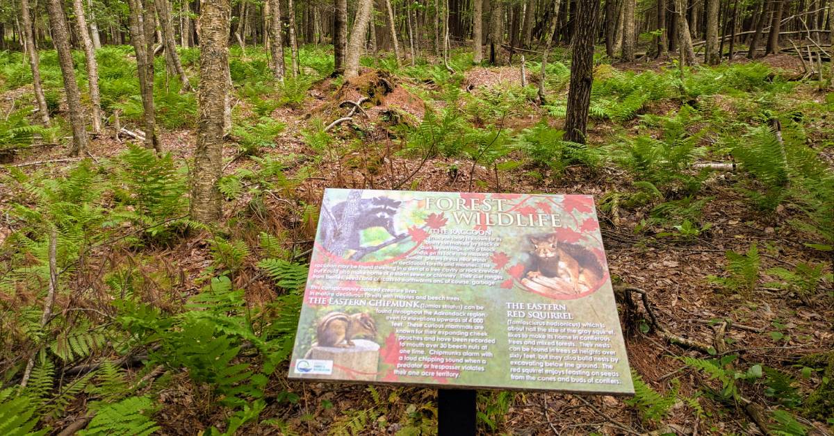 sign about wildlife at meadowbrook preserve in queensbury