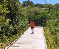 kid walks on wetlands walkway in hovey pond park