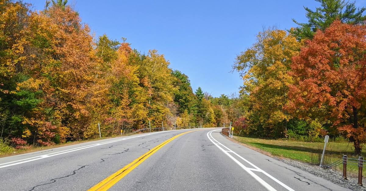 fall foliage along route 22 in whitehall