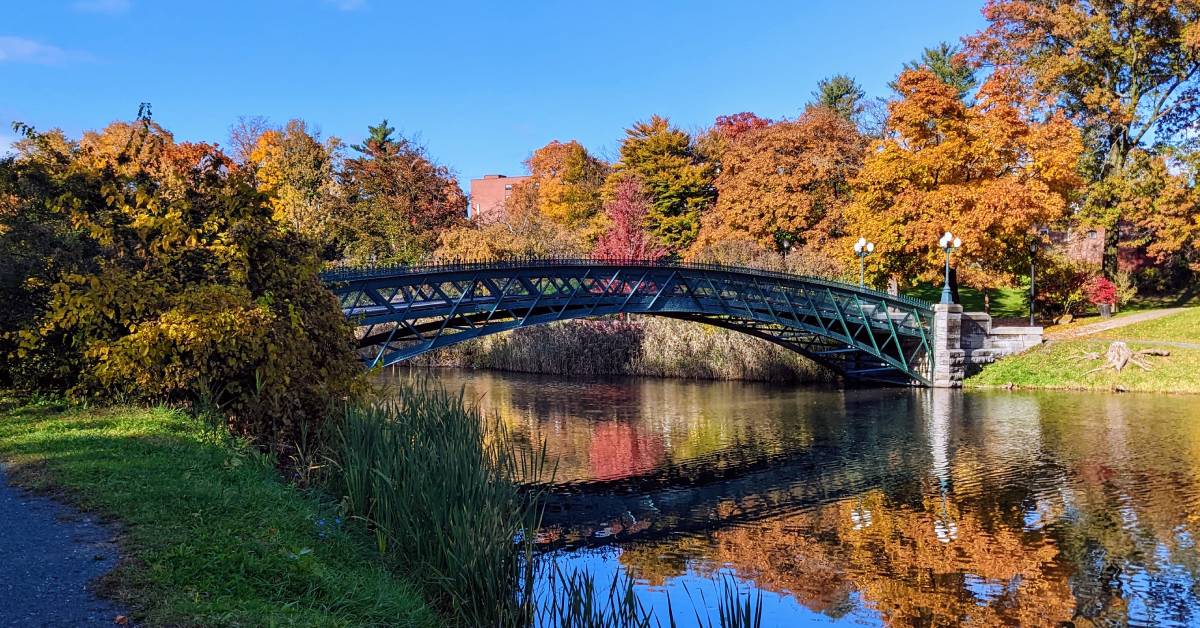 washington park in albany in the fall