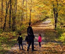 dad walks with kids in fall in woods