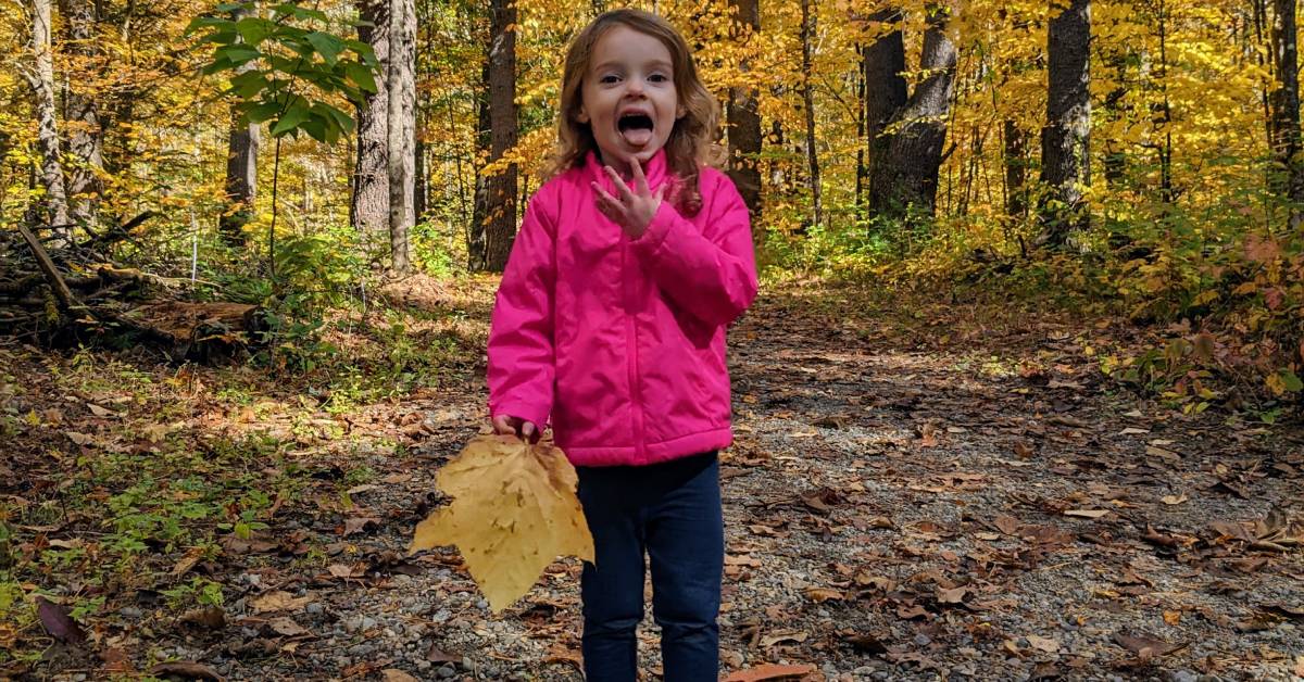 little girl in woods in fall holding giant yellow leaf