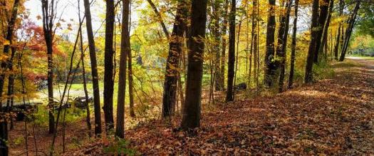 hiking trail in fail