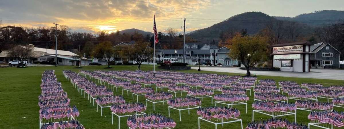 lots of flags lined up in a field