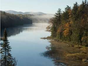 River with fog over it