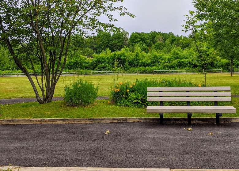 bench in park