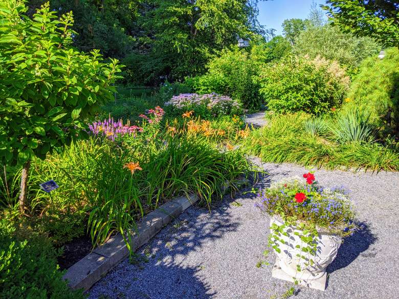 flowers by walking path