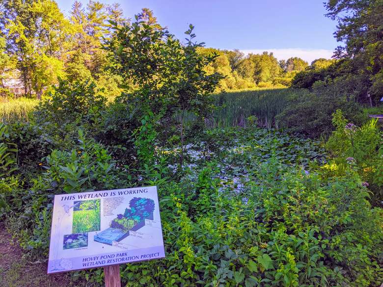 sign about wetland by swamp