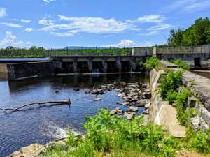 green heron on rock in canal
