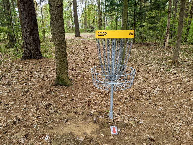disc golf net