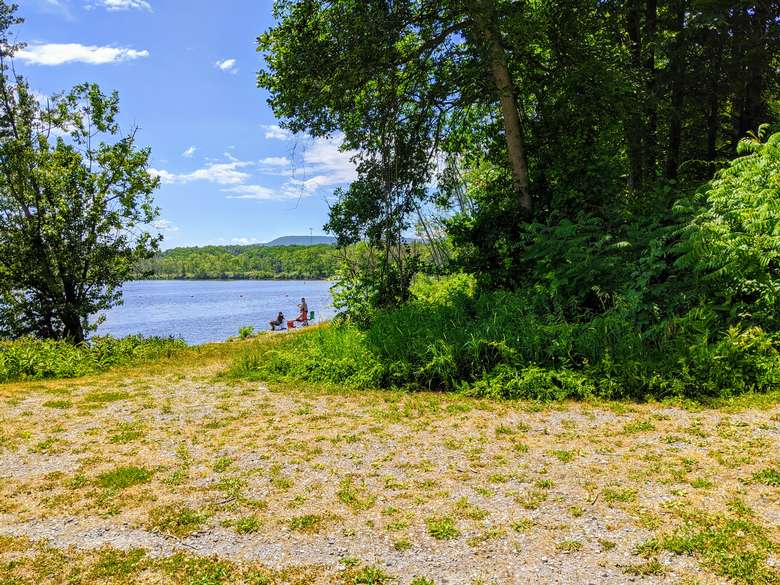 people fishing by the shore