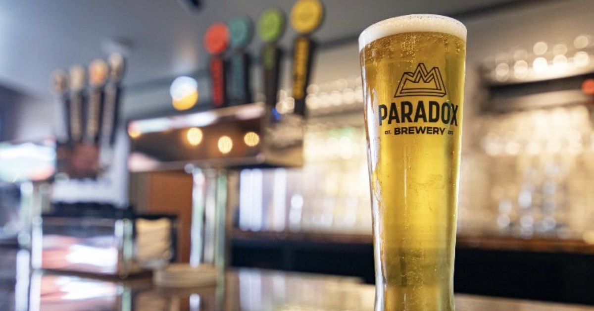 paradox brewery tall glass with logo and beer with blurred background of bar