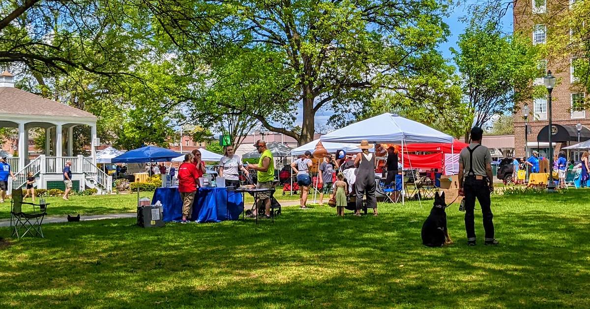 glens falls pet fest