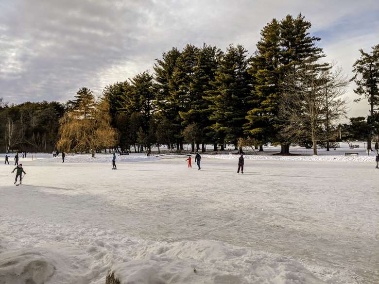 ice skaters on pond