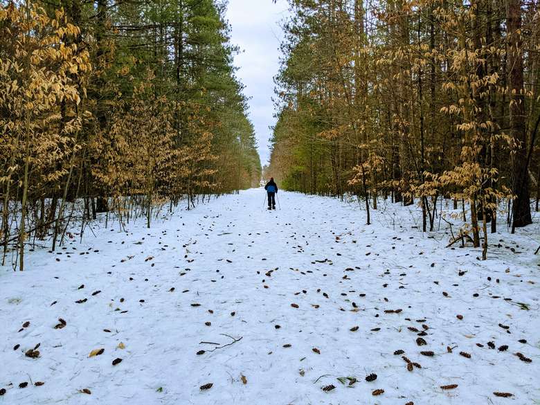 back of a man snowshoeing