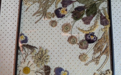 pressed flowers in a frame with a background of tiny dots