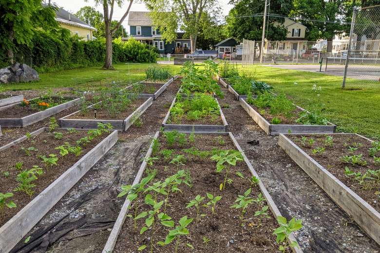 community garden