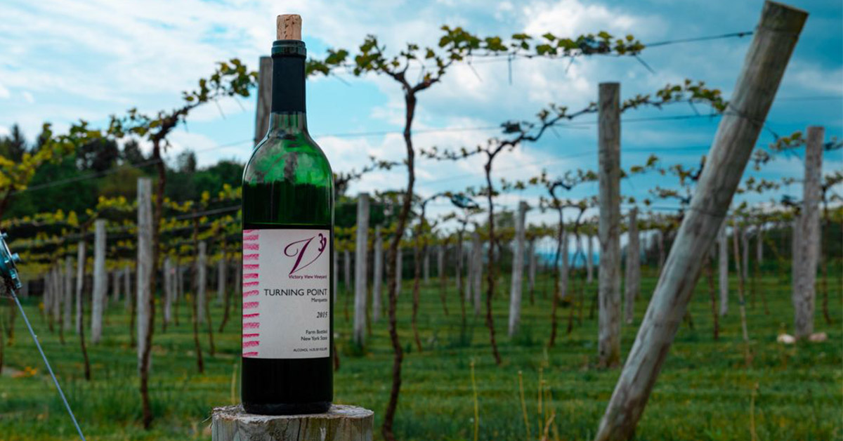 bottle of wine in front of a vineyard