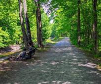 walking path in glens falls