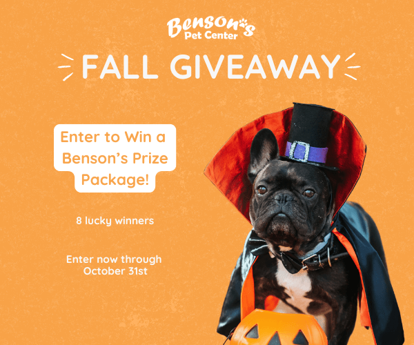Win Benson’s Ultimate Fall Giveaway!